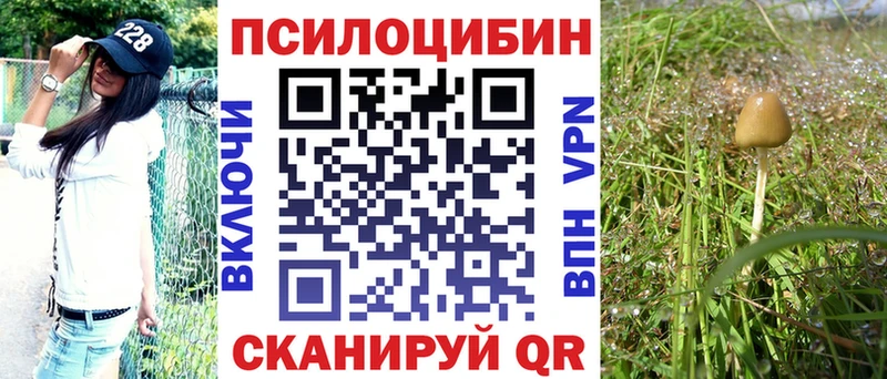 Галлюциногенные грибы мухоморы  купить наркоту  Озёры 